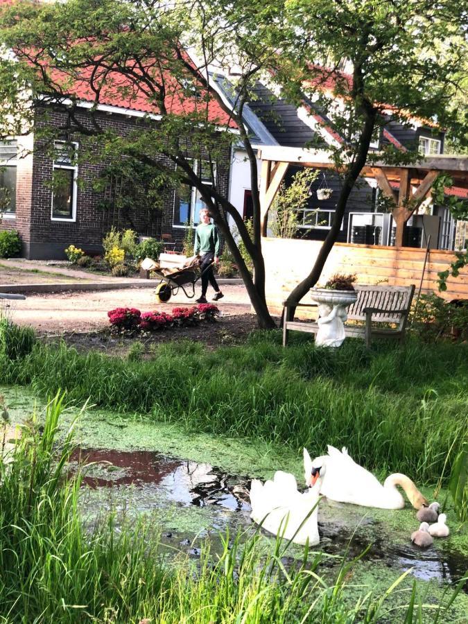 Homestead Amsterdam Exterior foto